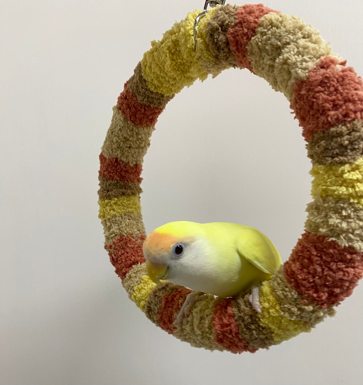 Handmade 17.5cm Aki Brown Yellow Yarn Knitting Ring Swings Parrot Birdie Toy