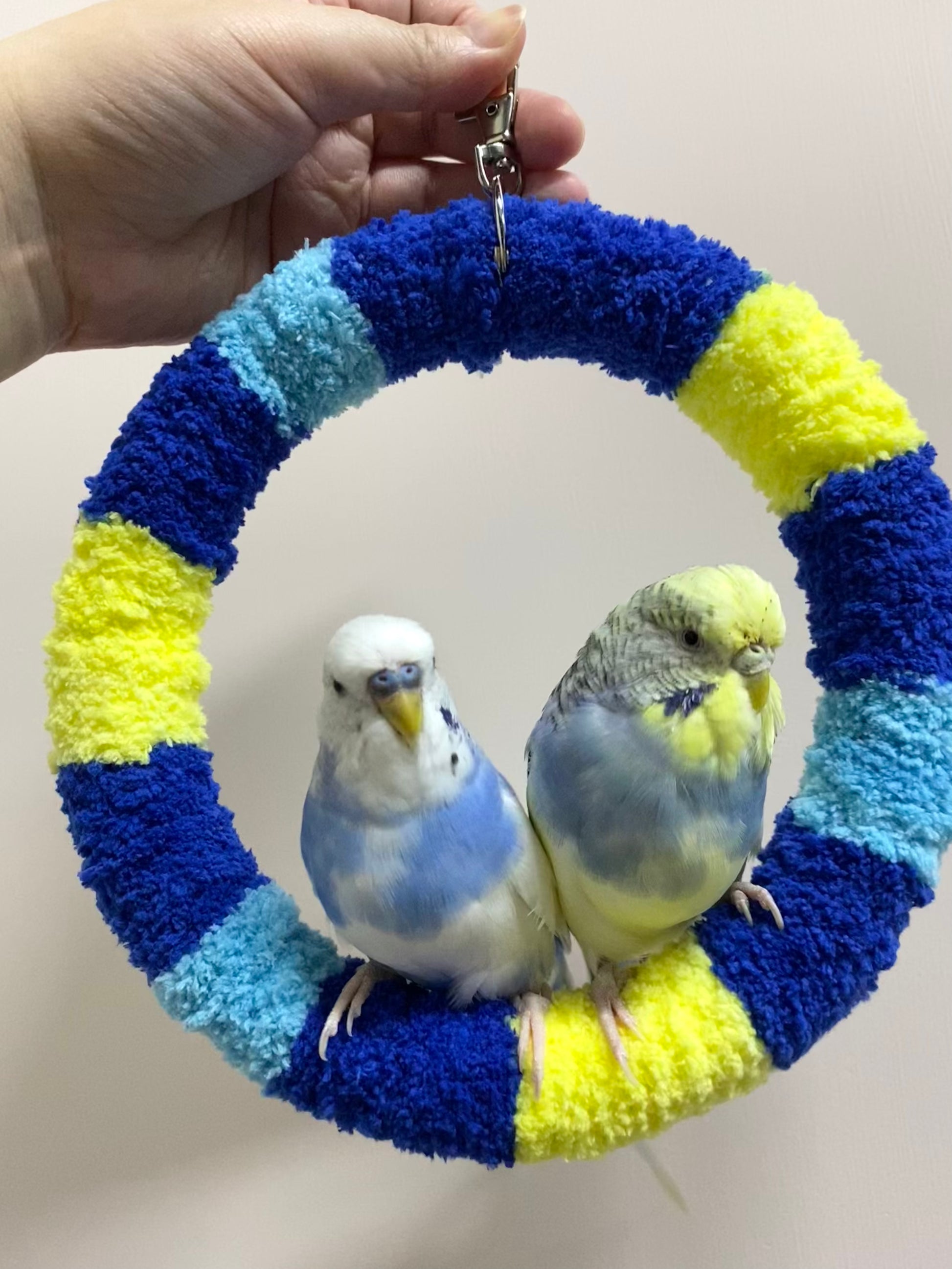 New Colour 17.5cm SunRise Blue Light Blue Yellow Yarn Knitting Ring Swings Warm Parrot Birdie Toy