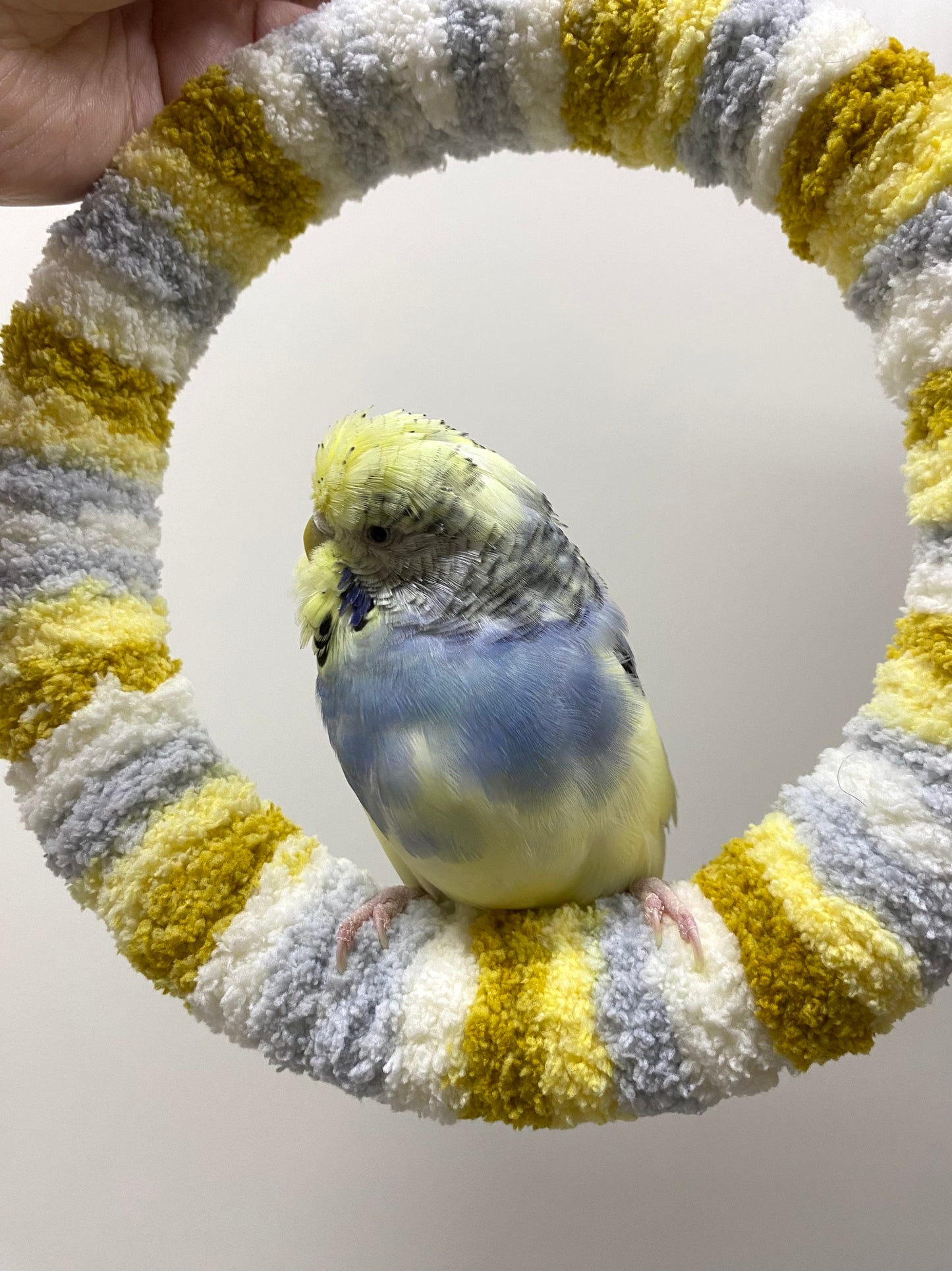 +Handmade+17.5cm Autumn Light Yarn Knitting Ring Swings Parrot Birdie Toy