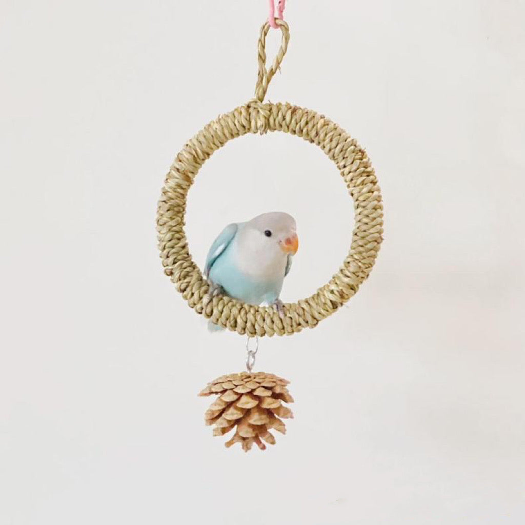 Bird swings and toys best sale