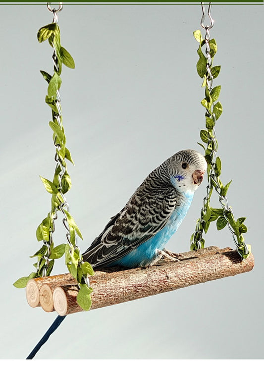  Forest Style Big Swings Natural Tree Branch Parrot Bird Toys Organic Bird Cages Accessories Lovebird Budgie Pacific Parrotlet