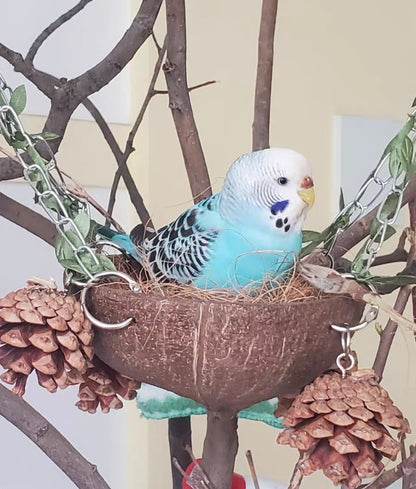 Natural Coconut Shell Bed Nest Swings with Coconut Shreds Hanging Parrot 