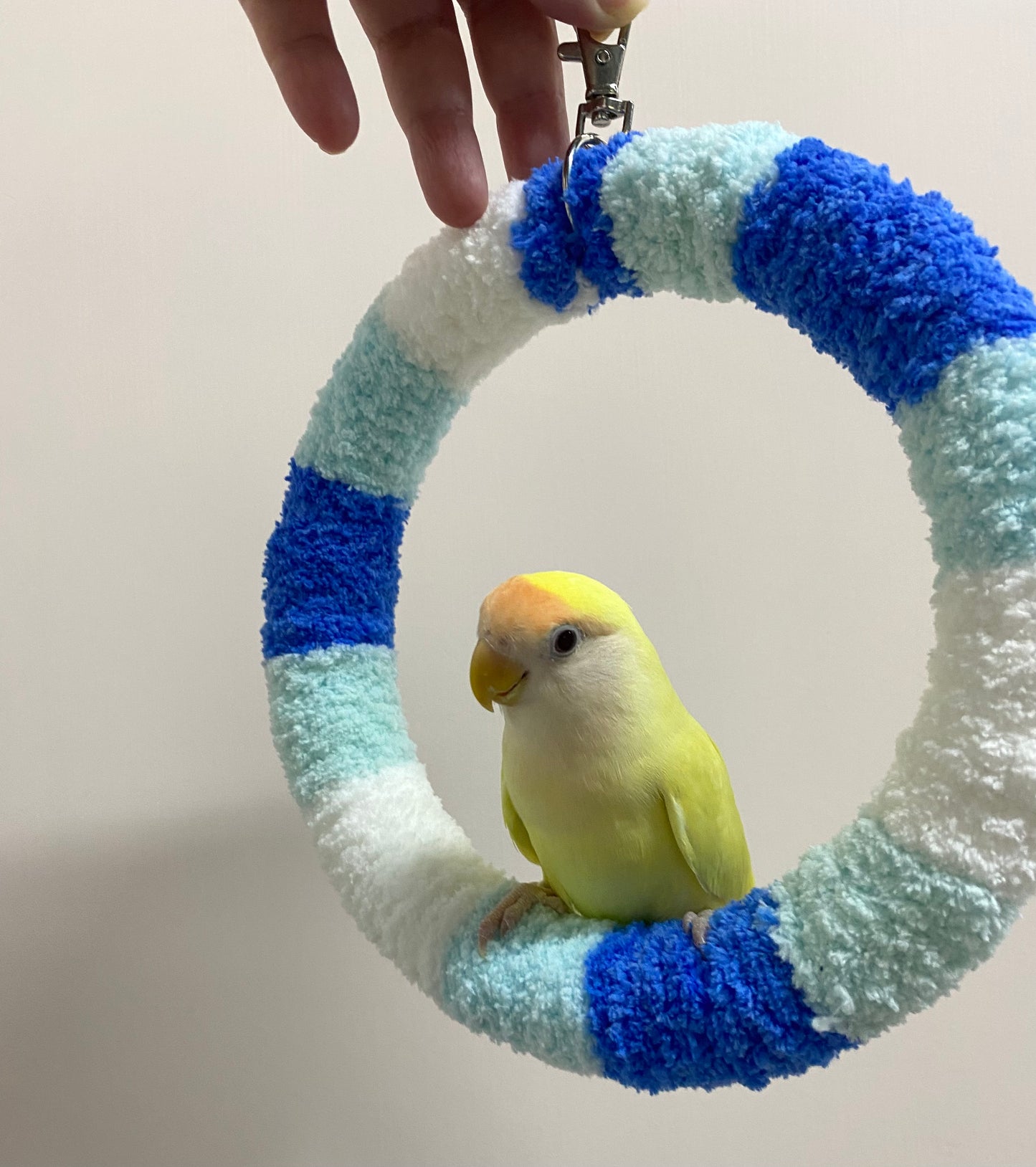 Handmade 17.5cm Sora Blue Light Blue White Yarn Knitting Ring Swings Parrot Birdie Toy