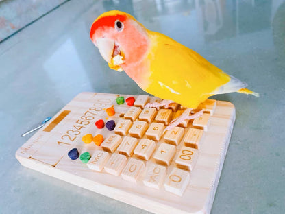 Bird Use Calculator Wooden and Colourful Cork Bite Toys