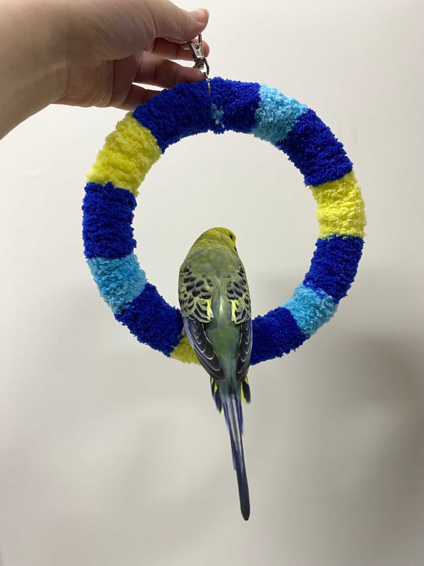 +Handmade+17.5cm SunRise Blue Light Blue Yellow Yarn Knitting Ring Swings Warm Parrot Birdie Toy