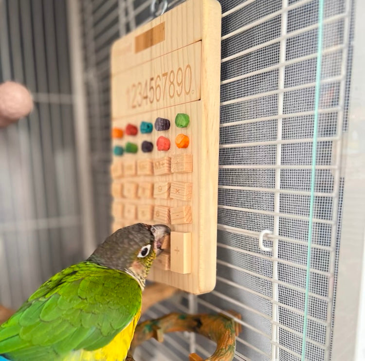 Bird Use Calculator Wooden and Colourful Cork Bite Toys