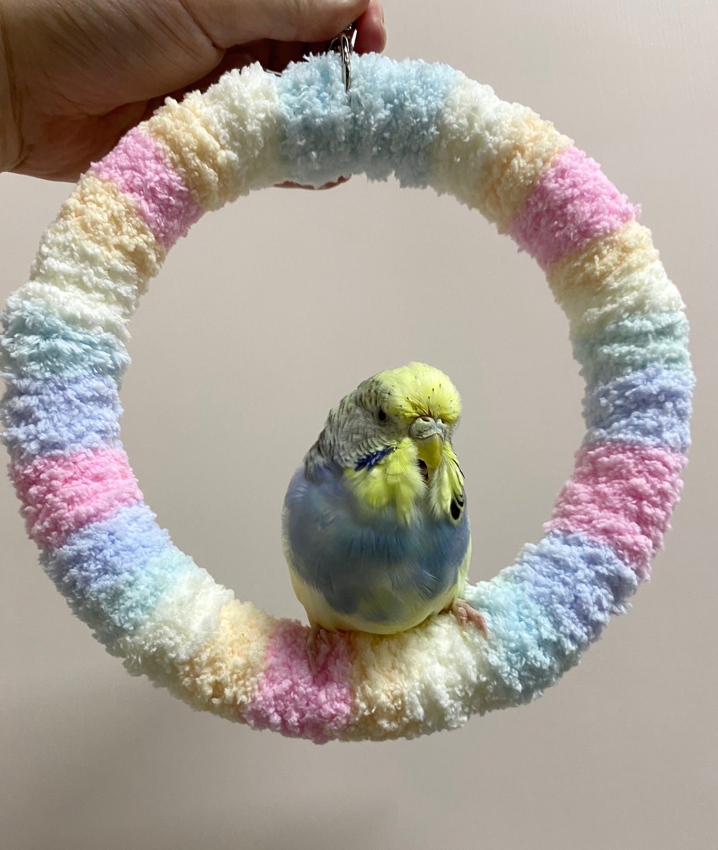 +Handmade+17.5cm Pastel Cotton Candy Yarn Knitting Ring Swings Parrot Birdie Toy