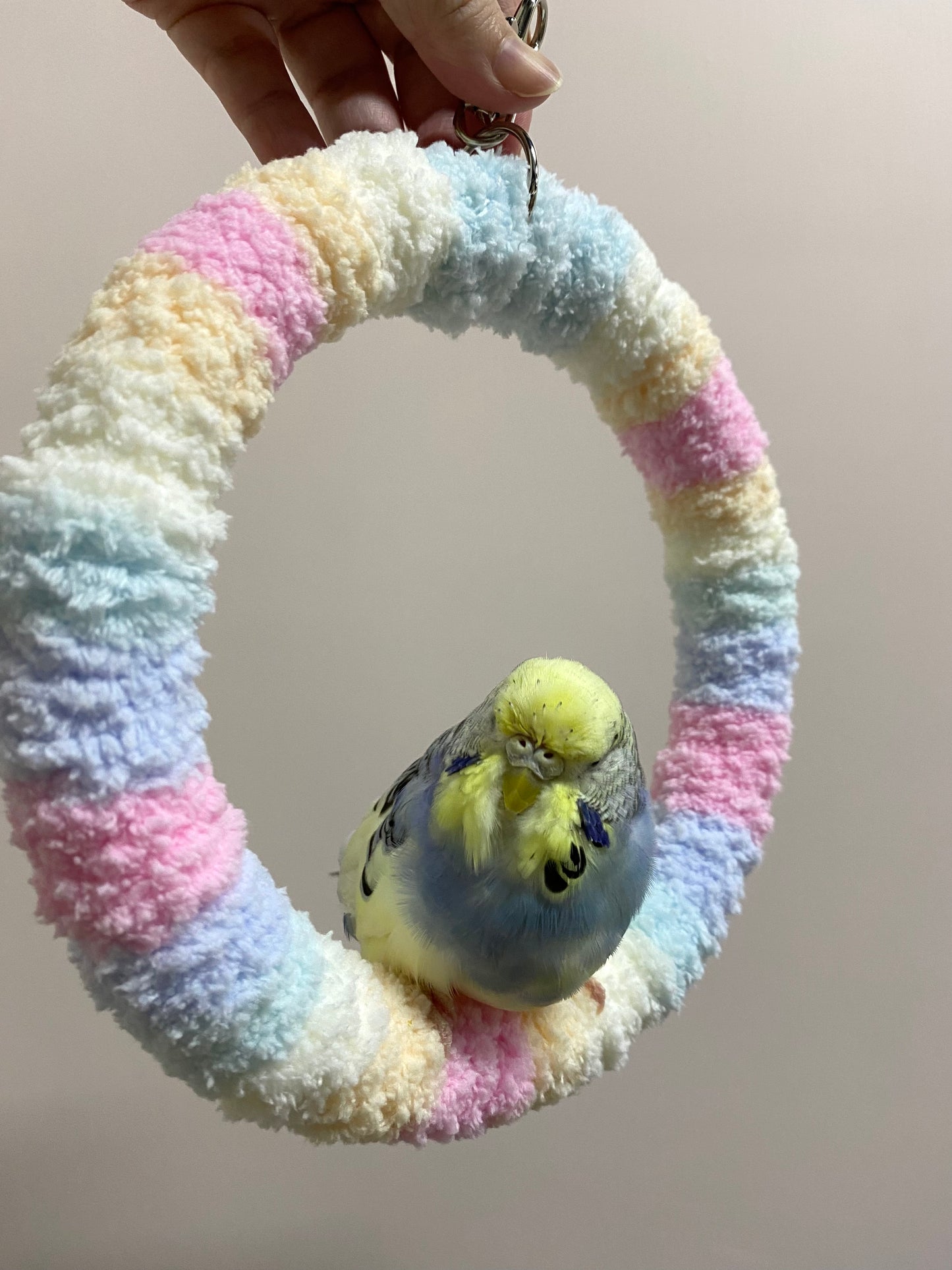 +Handmade+17.5cm Pastel Cotton Candy Yarn Knitting Ring Swings Parrot Birdie Toy