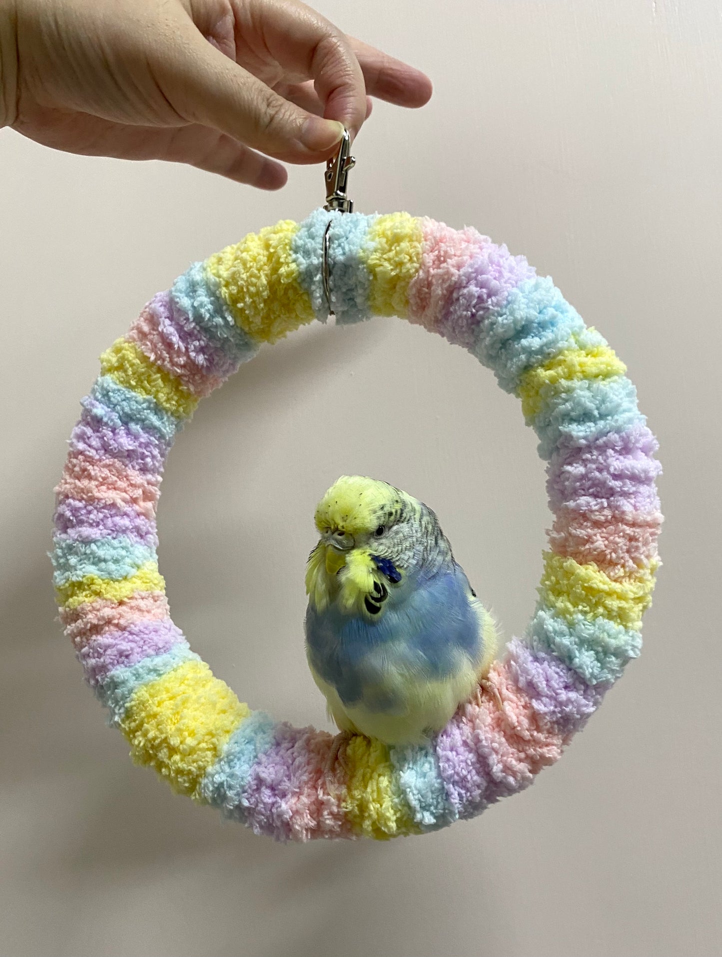 +Handmade+17.5cm Pastel Macaron Yarn Knitting Ring Swings Parrot Birdie Toy