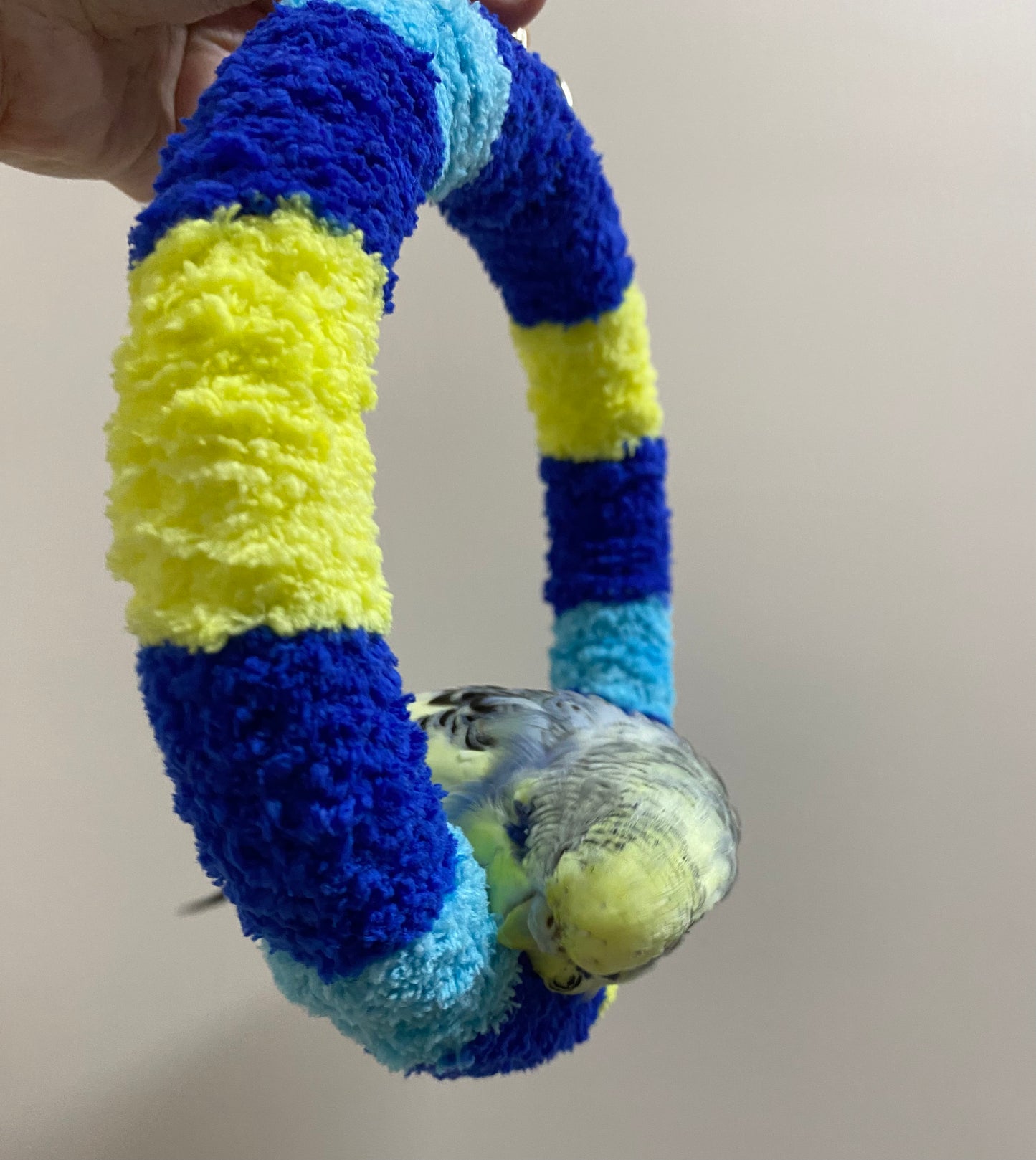 +Handmade+17.5cm SunRise Blue Light Blue Yellow Yarn Knitting Ring Swings Warm Parrot Birdie Toy