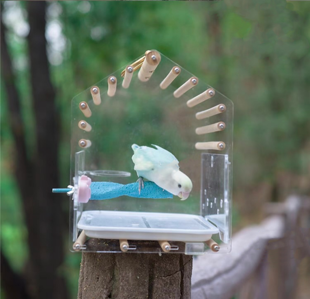 Small Bird Outing Carry Cage Acrylic Board with Wood Sticks and Strap for Small Bird Parrot Lovebird Budgie Pacific Parrotlet Finches Hamster