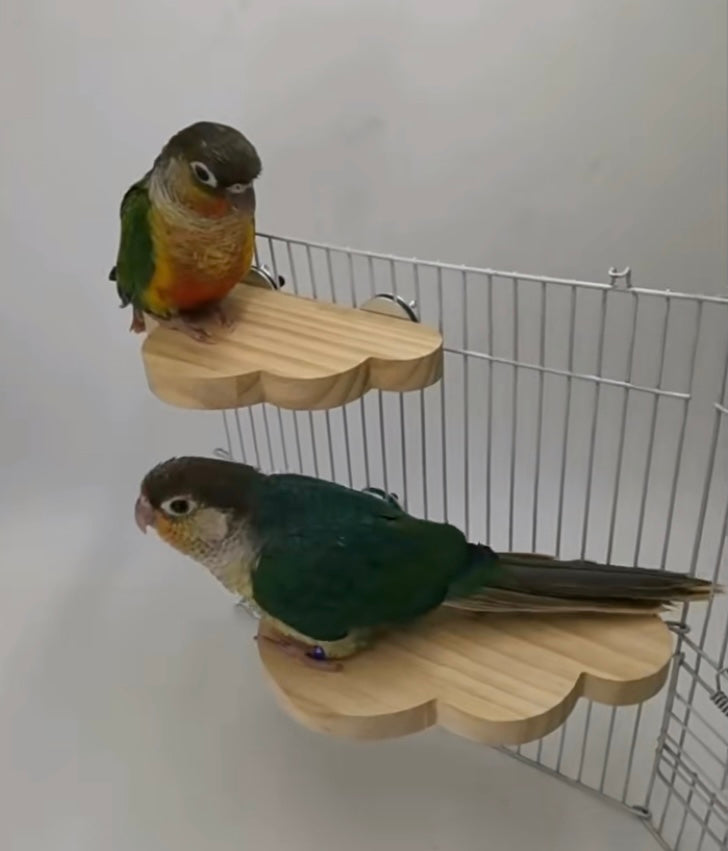 Cute Style Small Big Cloud Platform Natural Wooden Parrot Birdie Toy for Small Medium Parrot