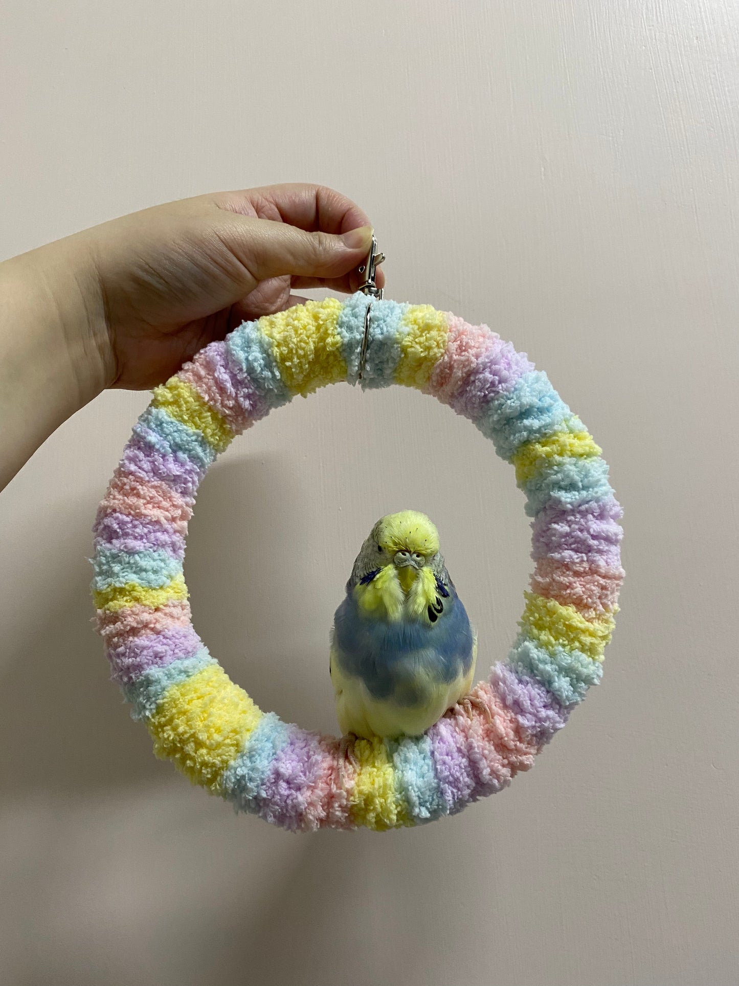 +Handmade+17.5cm Pastel Macaron Yarn Knitting Ring Swings Parrot Birdie Toy