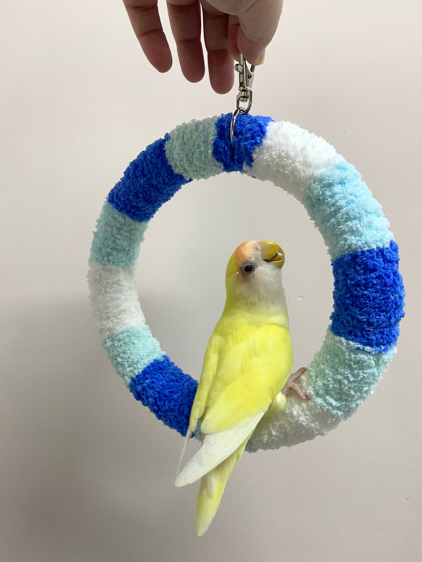 +Handmade+17.5cm Sora Blue Light Blue White Yarn Knitting Ring Swings Parrot Birdie Toy