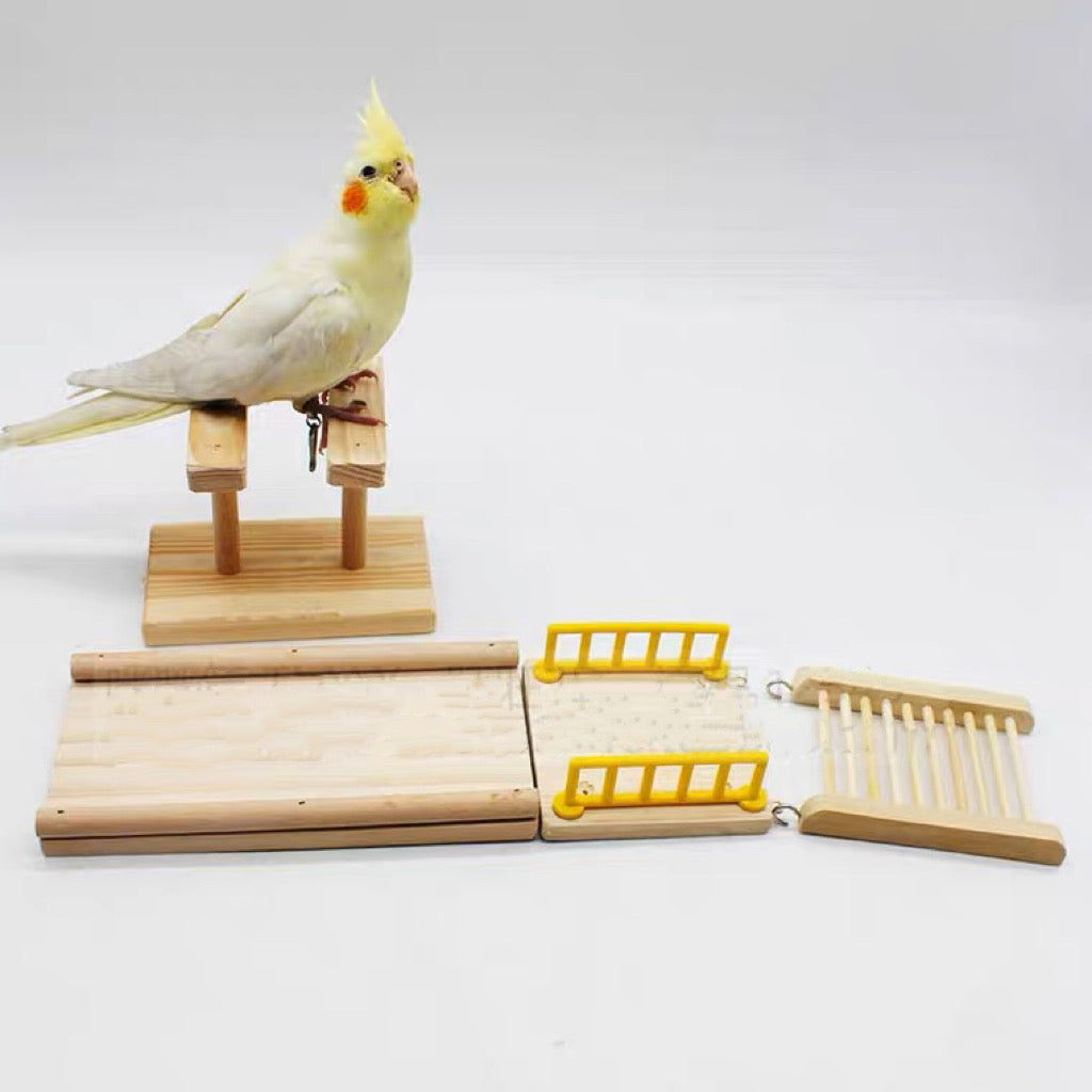 Parrot Wooden Slide for Small and Medium Size Bird Parrot Intelligence WinnieTheBirds Toy Shop