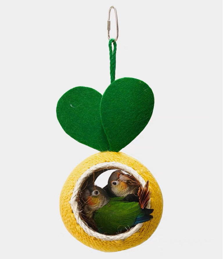 Fruit Style Natural Coconut Shell with Hemp Parrot Room