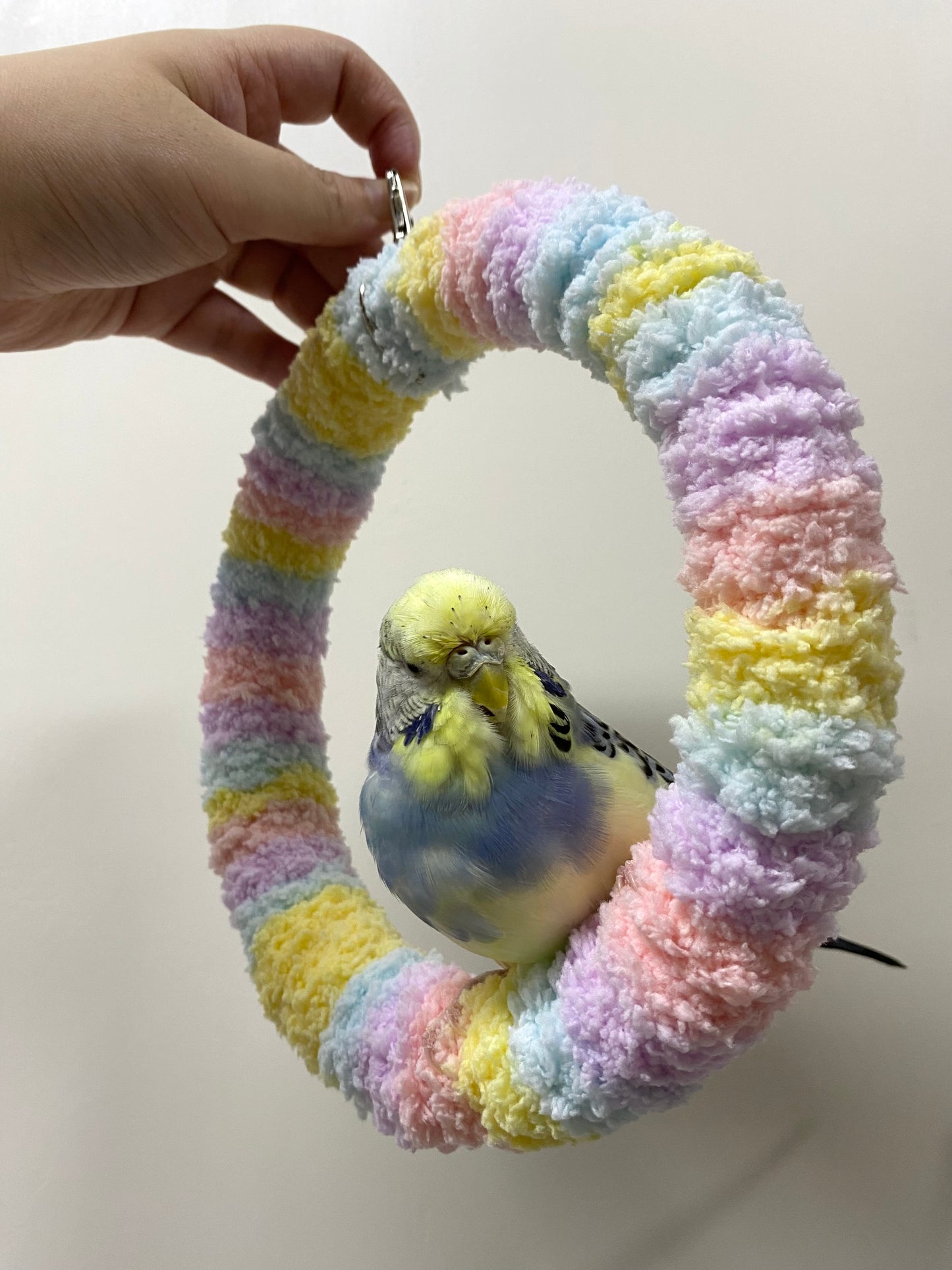 +Handmade+17.5cm Pastel Macaron Yarn Knitting Ring Swings Parrot Birdie Toy