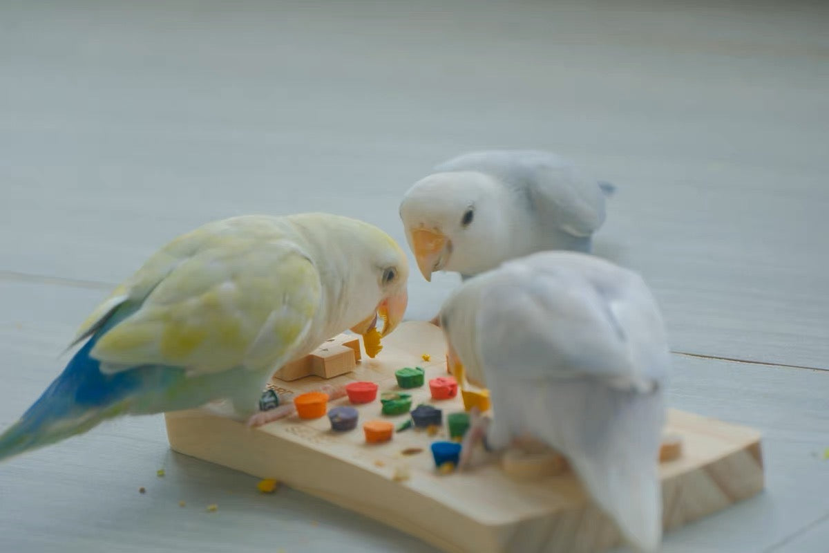 Bird Use Game Machine Wooden and Colourful Cork Bite Toys for Parrot Bird Toys Cages Accessories Lovebird Budgie Pacific Parrotlet