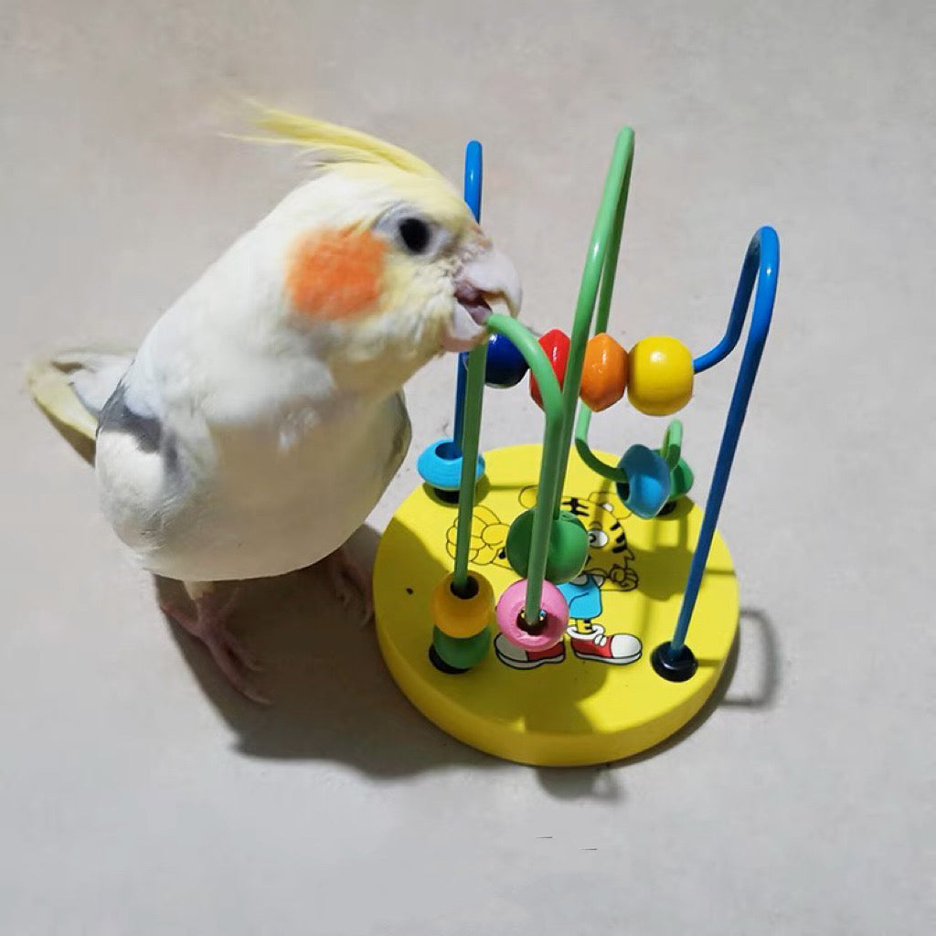 Parrot Toy Beads & Steel Wire for Small and Medium