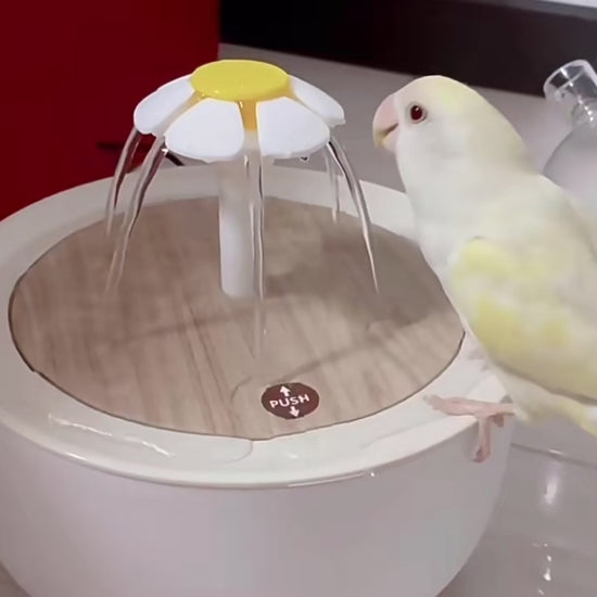 Parrot Electric Bathing Platform Play Water Toys Suitable for Hand Breeding Birds for Small Medium Bird Parrot Lovebird Budgie