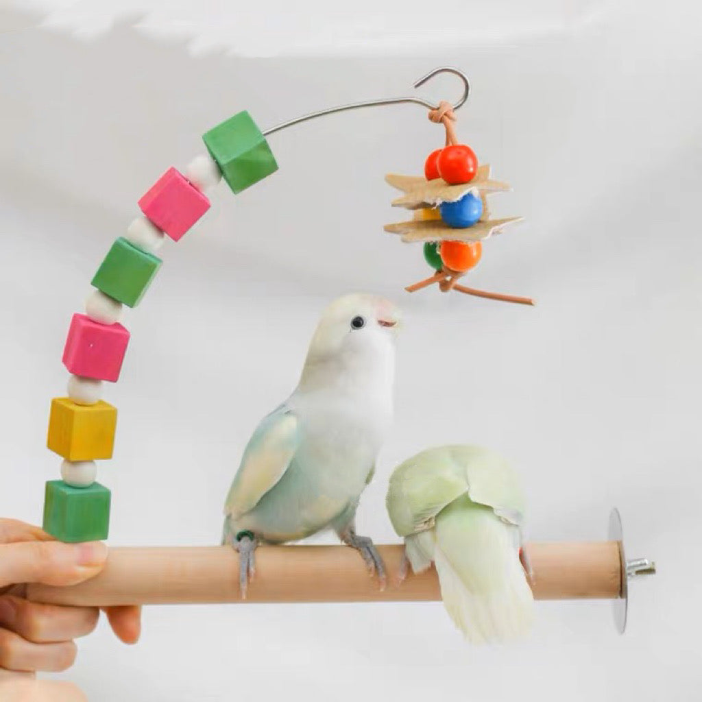 Rainbow Wooden Stand Perch with Hanging Toy Handmade Bird Parrot Toys Organic Bird Cages Accessories