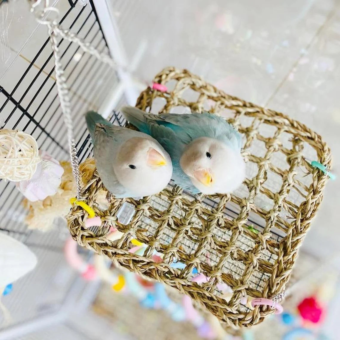 Seagrass Swings Bird Bed Parrot Handmade Bird Toys Organic Bird Cages Accessories Lovebird