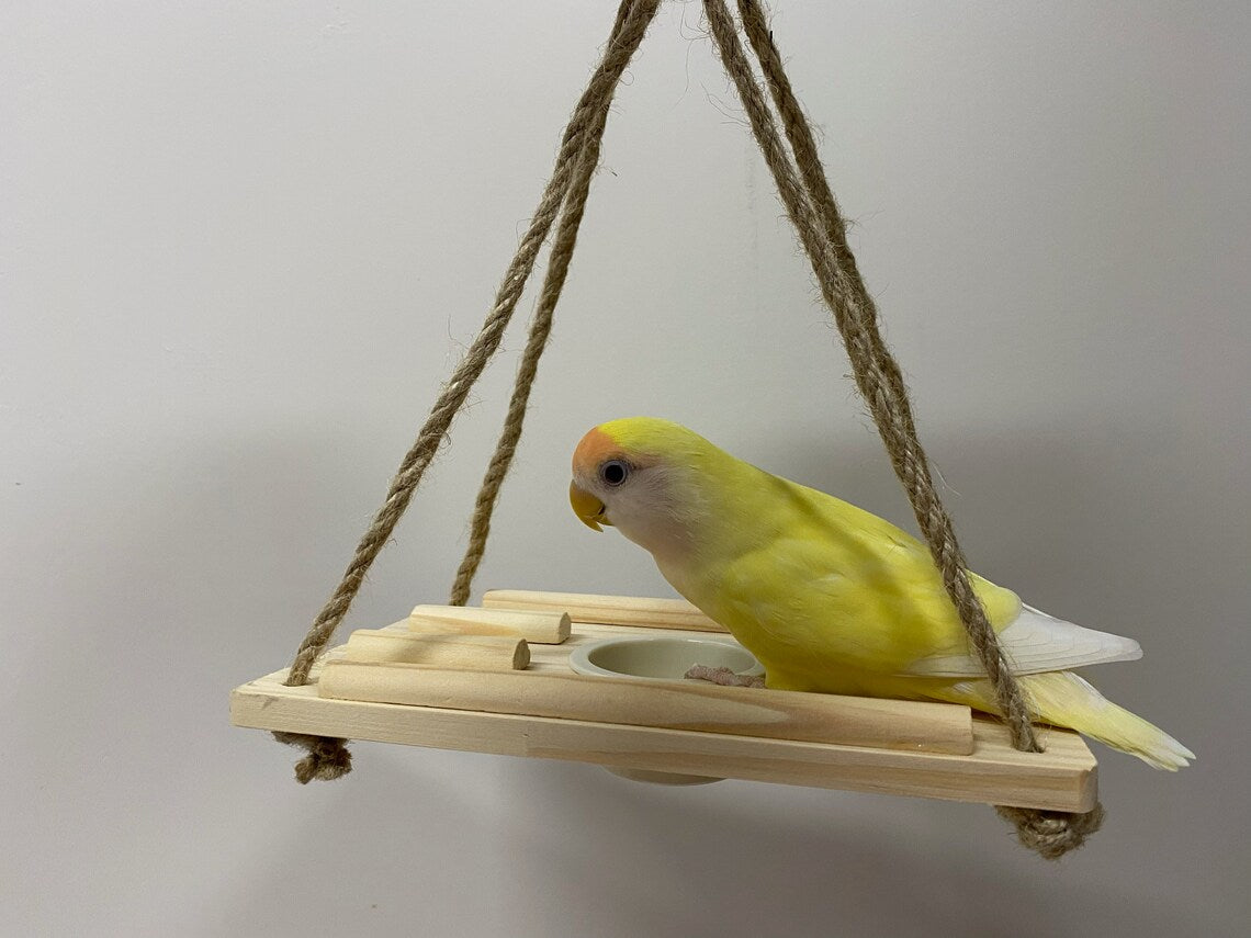 Japan Sanko Room Athletic Platform for Small Medium Bird and Parrot Lovebird