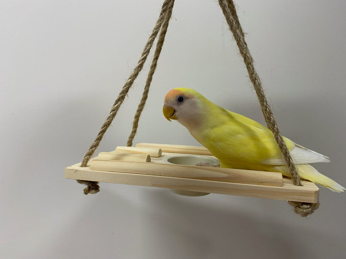 Japan Sanko Room Athletic Platform for Small Medium Bird and Parrot Lovebird