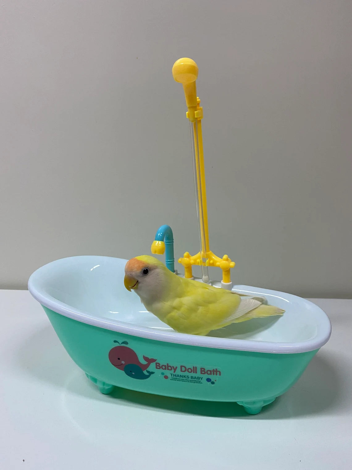 Parrot Electric Bathtub Bathing Play Water Toys Suitable for Hand Breeding Birds