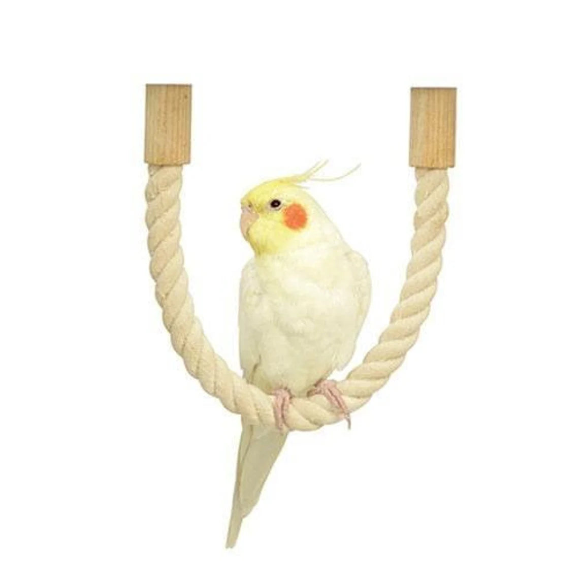 Japan Sanko Rope perch Birdie Standing Natural Wood for Small Medium Bird and Parrot Lovebird Budgie Pacific Parrotlet Cockatiel