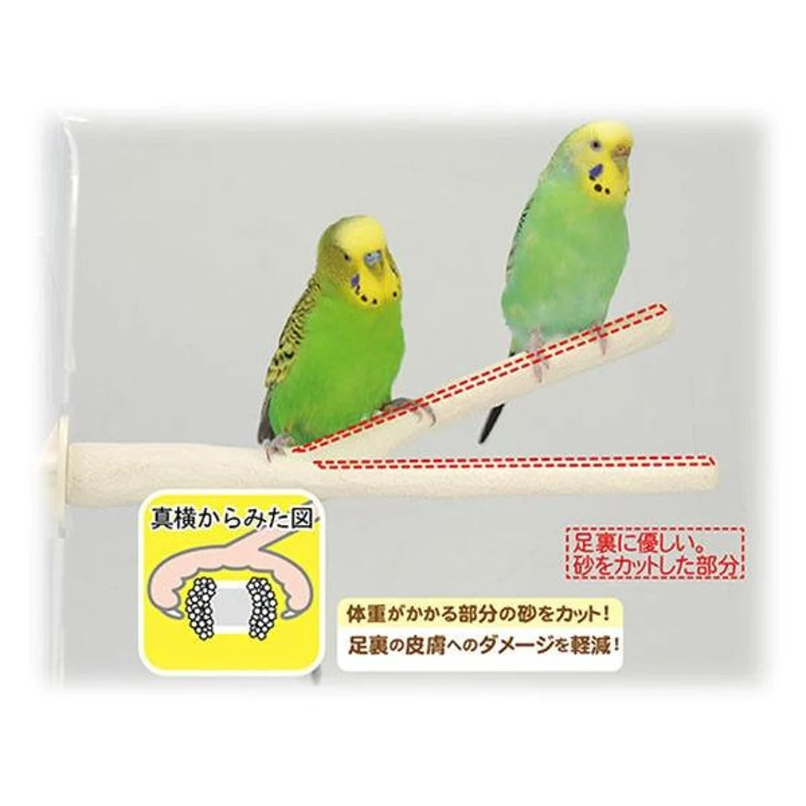 25cm Japan Sanko Y Shape Natural Tree Branch Bird Perch Parrot Claw Grinding Bar Standing Stick