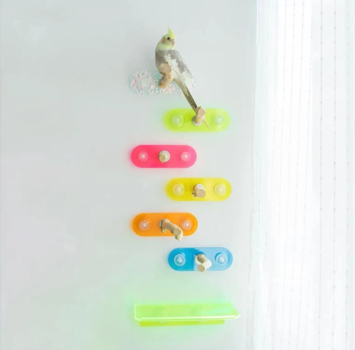 Colorful Acrylic Parrot Window Bird Platform Stand for Small Medium 