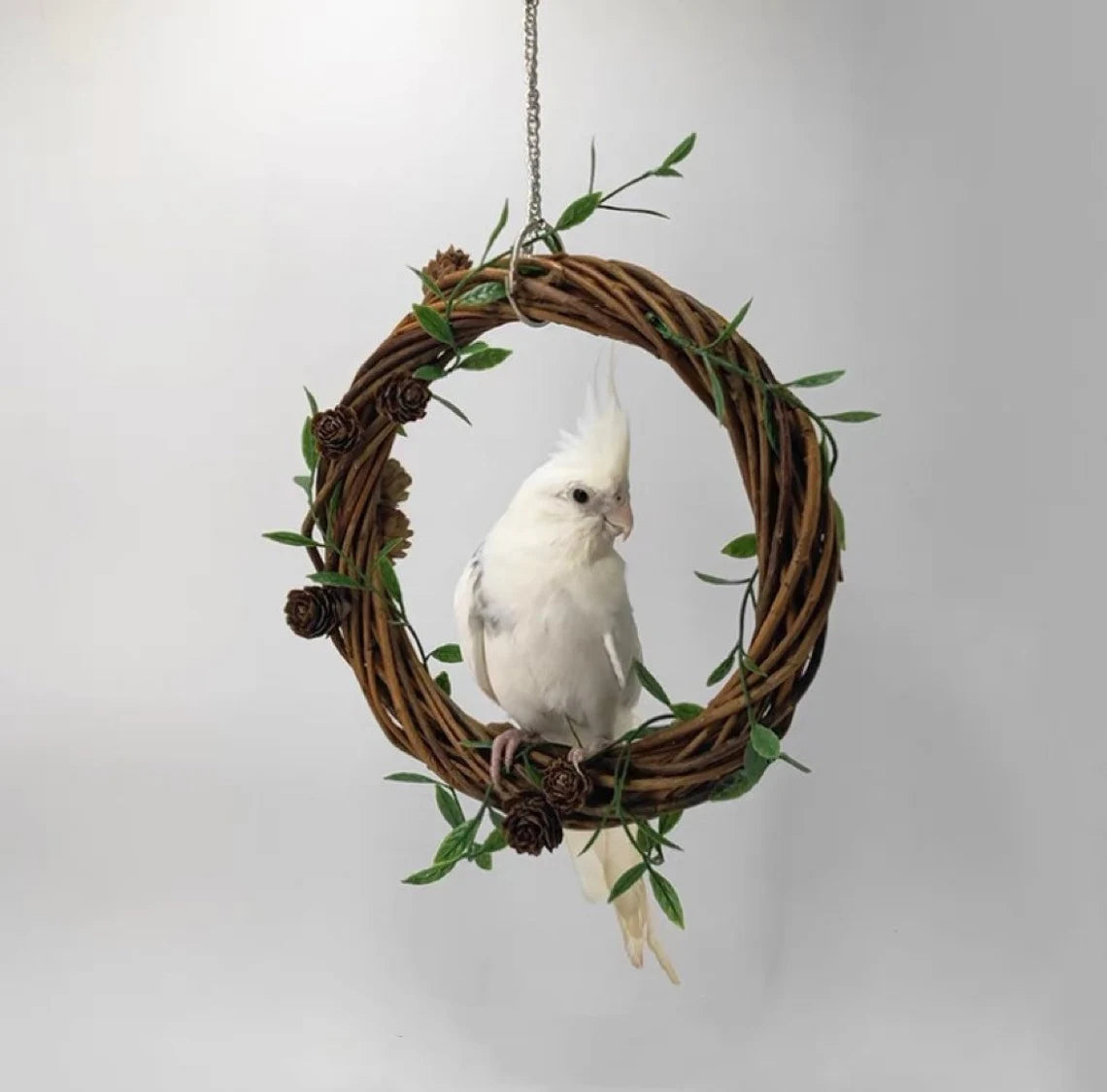 Swings Handmade Bird Toys Organic Bird Cages Accessories 