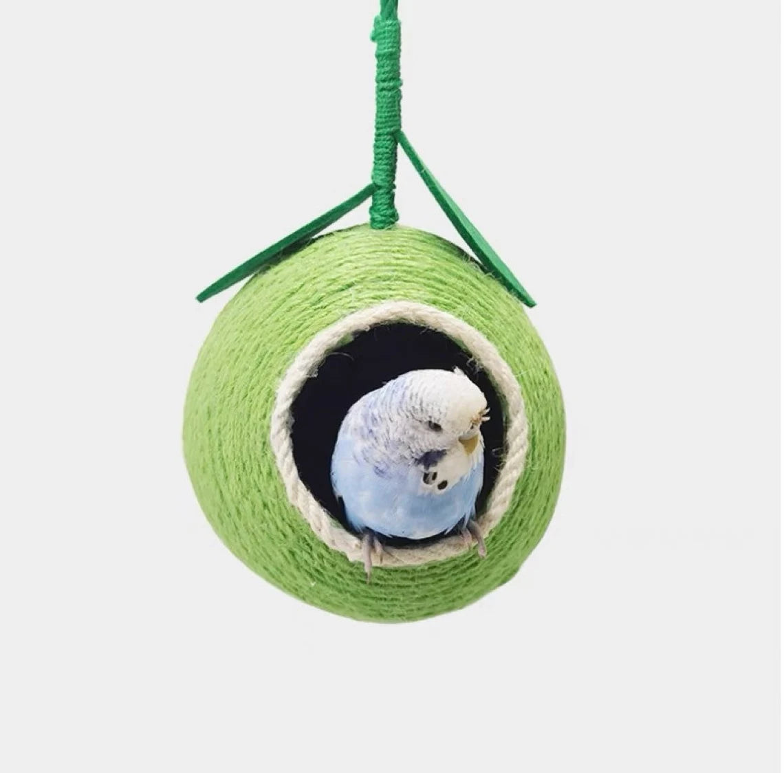 Fruit Style Natural Coconut Shell with Hemp Hope Bird House