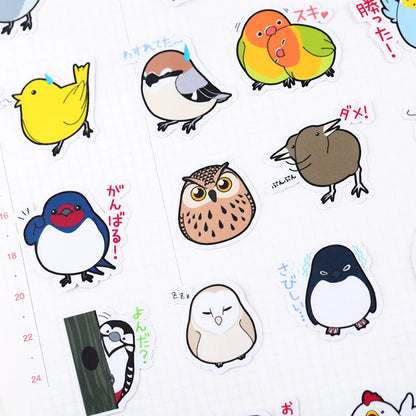 Set of 40 Birds Owl Parrot Stickers Waterproof Lovebird Budgie Pacific Parrotlet Finches Cocktails