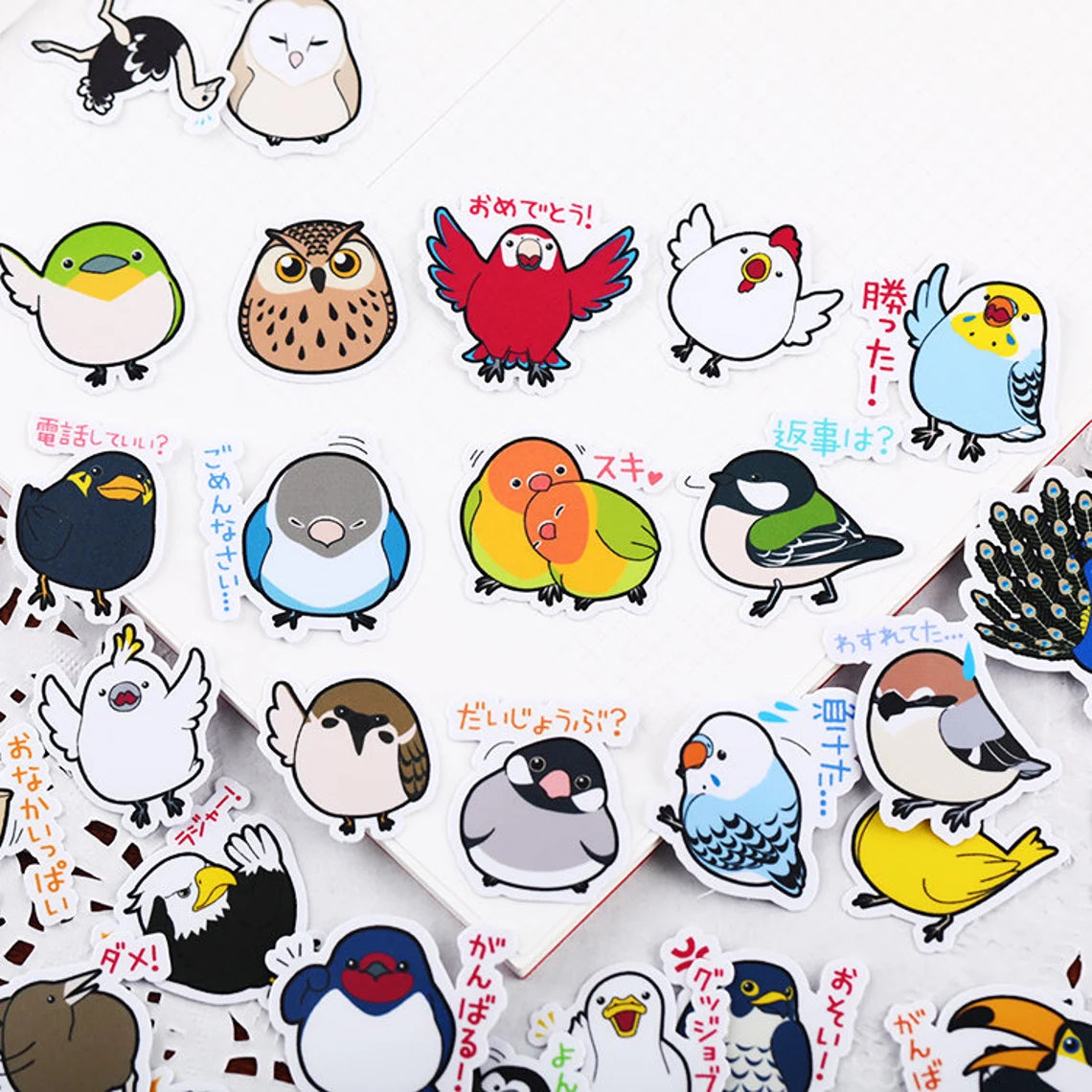 Set of 40 Birds Owl Parrot Stickers Waterproof Lovebird Budgie Pacific Parrotlet Finches Cocktails