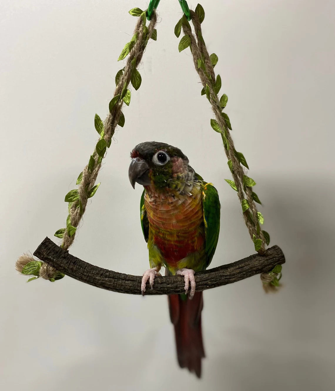 Forest Style Swings Natural Tree Branch Vine Hemp Hope Parrot Birdie Toy