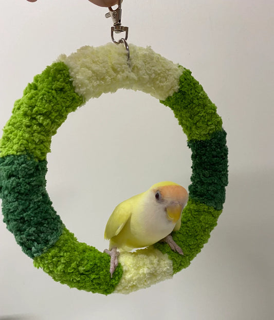 Handmade Parrot Swings