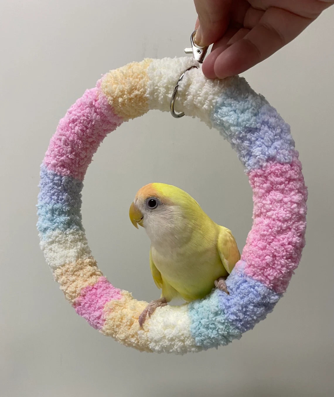 Handmade Parrot Swings