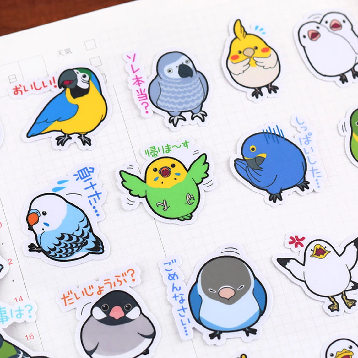 Set of 40 Birds Owl Parrot Stickers Waterproof Lovebird Budgie Pacific Parrotlet Finches Cocktails