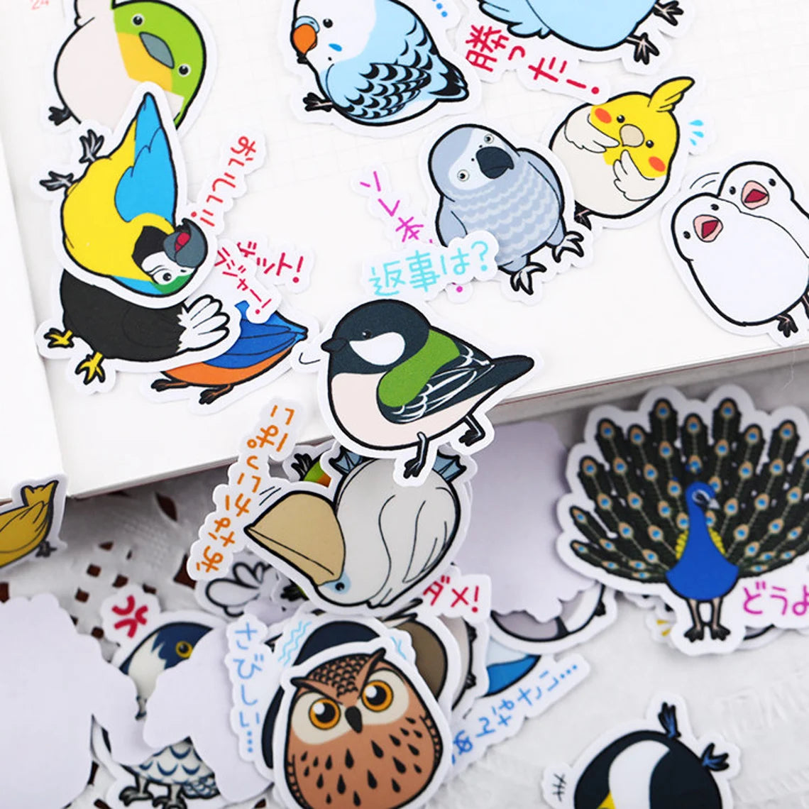 Set of 40 Birds Owl Parrot Stickers Waterproof Lovebird Budgie Pacific Parrotlet Finches Cocktails