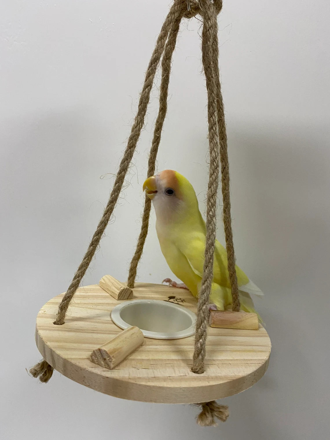 Japan Sanko Room Athletic Circle Platform for Small Medium Bird and Parrot 