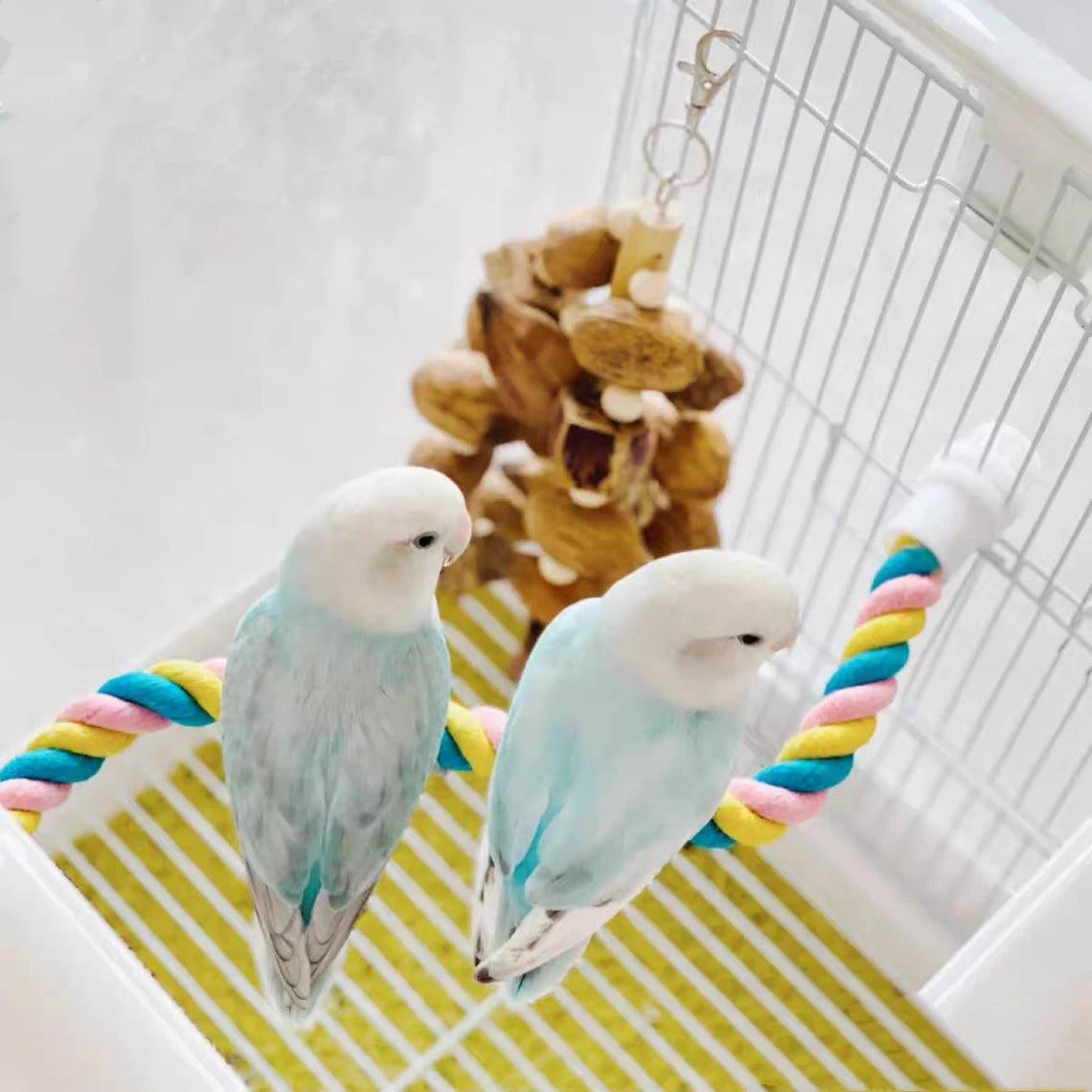 3 size Pastel Rope Perch Birdie Standing for Small Medium Bird and Parrot