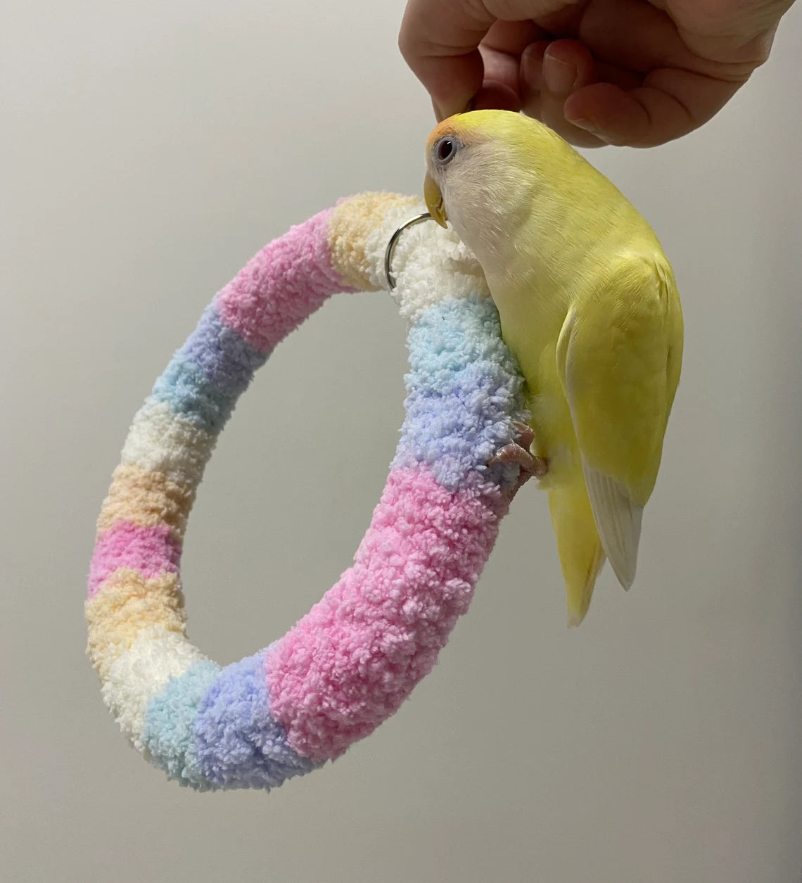 +Handmade+17.5cm Pastel Rainbow Yarn Knitting Ring Swings Parrot Birdie Toy