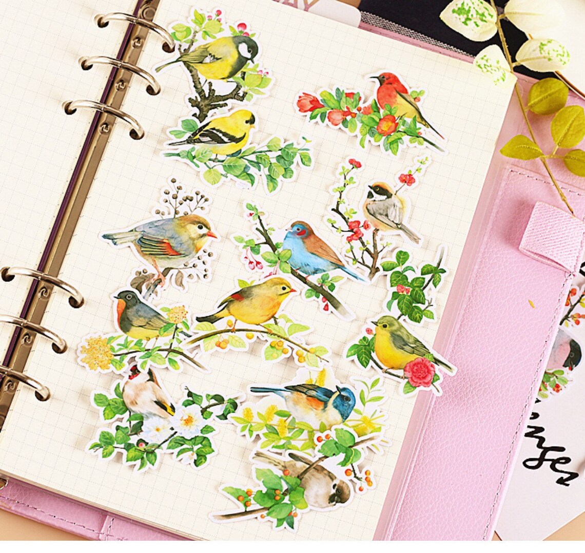 Pieces Stray Birds Stickers Waterproof Finches Mountain Birds