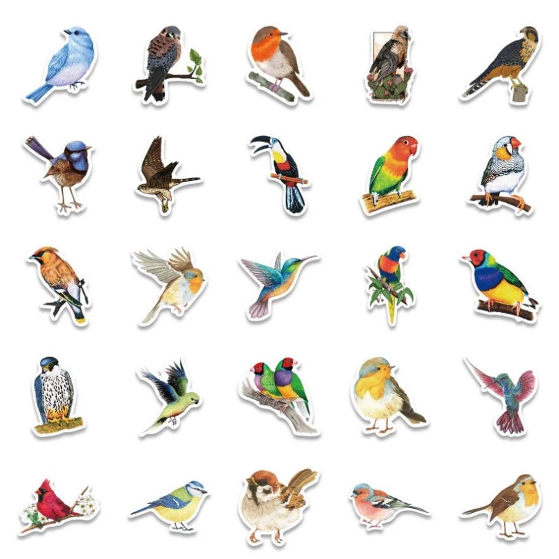 Set of 50 Pieces Birds Budgie Parrot Stickers Waterproof Lovebird Budgie Pacific Parrotlet Finches iPad iPhone Notebook