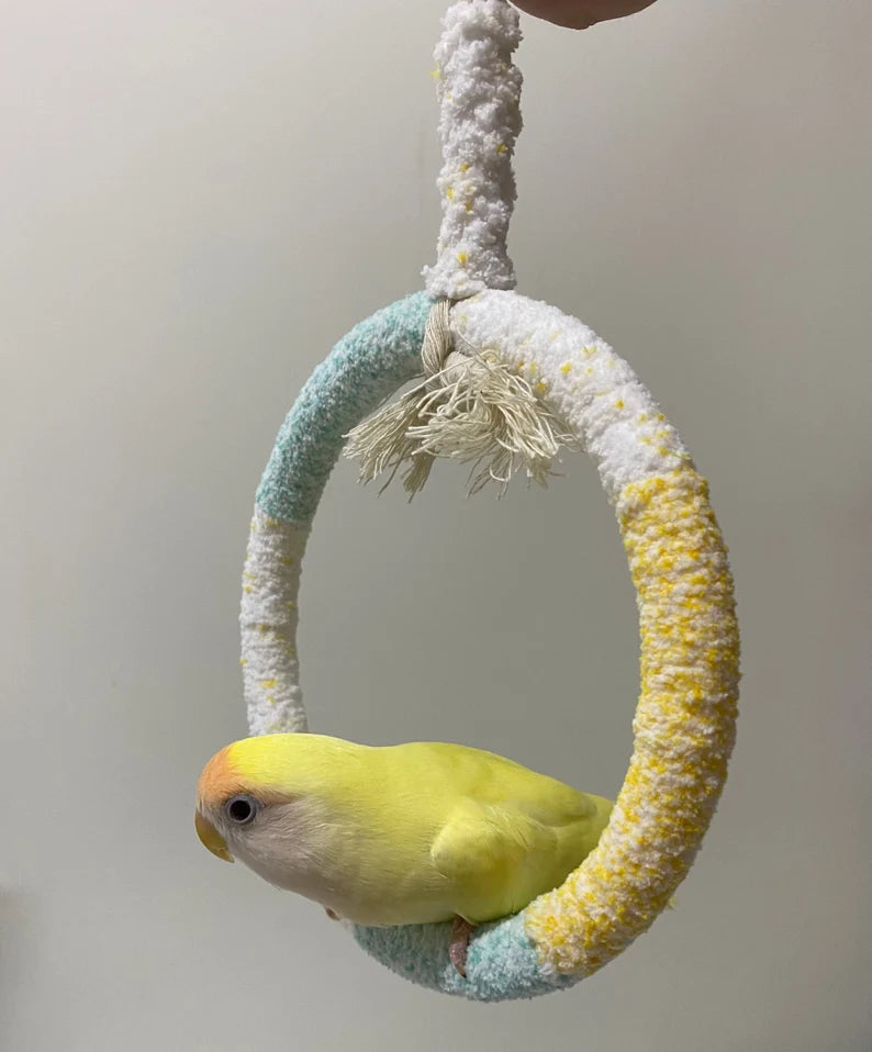 Handmade Parrot Swings