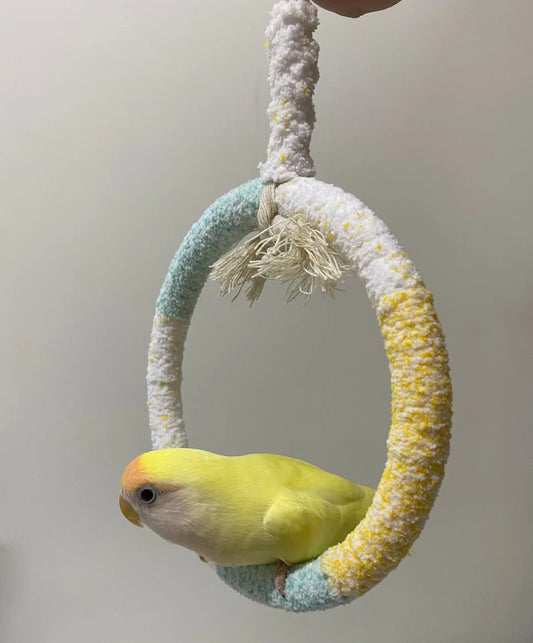 Handmade Parrot Swings