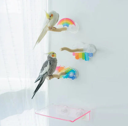 Rainbow Theme Acrylic Parrot Window Bird Wooden Perch Stickers Stand for Small Medium Bird Parrot