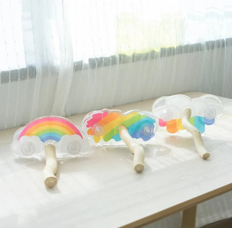 Rainbow Theme Acrylic Parrot Window Bird Wooden Perch Stickers Stand for Small Medium Bird Parrot